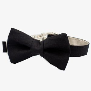 Dog bow tie collar and leash